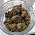 Patient Image of Althea™ T25 Powdered Donuts Medical Cannabis