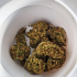 Patient Image of Adven® Cura-18 T27 OG Kush Medical Cannabis
