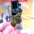 Patient Image of Lumir® SM9 T23 Strawberry Malawi Medical Cannabis