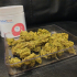 Patient Image of Adven® Cura-5 T18 Three Green Kings Medical Cannabis