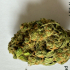 Patient Image of Little Green Pharma Lemon Glow T20 Lemon Skunk Medical Cannabis
