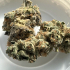Patient Image of Grow Pharma T20-22 French Cookies Medical Cannabis