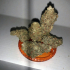 Patient Image of Noidecs T20:C4 Moby Dick Medical Cannabis