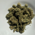 Patient Image of Noidecs MVA T20:C4 Kosher Kush Medical Cannabis