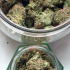 Patient Image of Noidecs T22 Sour Kush Medical Cannabis