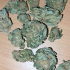 Patient Image of Noidecs T5:C7 Balanced Kush Medical Cannabis
