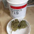 Patient Image of Noidecs T19 Gorilla Glue #4 Medical Cannabis
