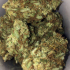 Patient Image of Aurora® T22 Delahaze Medical Cannabis