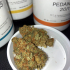 Patient Image of Aurora Pedanios T20 L.A. Confidential Medical Cannabis