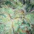 Patient Image of Therismos T20 Gorilla Glue #4 Medical Cannabis