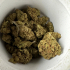 Patient Image of Adven Cura-8 T21 High Silver Medical Cannabis
