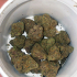 Patient Image of Adven Cura-11 T25 L.A. Kush Cake Medical Cannabis