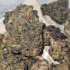 Patient Image of Adven® Cura-B2 T4:C10 AC/DC Cookies Medical Cannabis