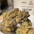Patient Image of Grow® Pharma T22 French Cookies Medical Cannabis