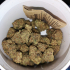 Patient Image of Curaleaf® T25 L.A. Kush Medical Cannabis