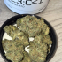 Patient Image of Noidecs T23 Green Gelato Medical Cannabis