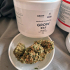 Patient Image of Grow® Pharma T22 L.A. S.A.G.E. Medical Cannabis