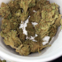 Patient Image of Adven® EMT-3 T20 Glory Glue Medical Cannabis