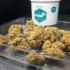 Patient Image of Khiron T19 Gelato Medical Cannabis