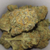 Patient Image of Althea T18:C1 Skywalker OG Kush Medical Cannabis