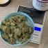 Patient Image of Noidecs T23 Green Gelato Medical Cannabis