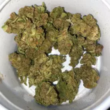 Curaleaf® T21 High Silver Medical Cannabis Flower