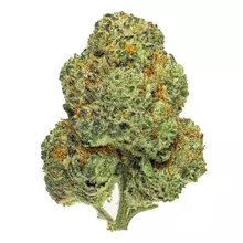 Aurora® Pedanios T28 Chemango Kush Medical Cannabis Flower