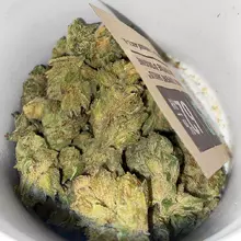 CannyCann+ Island Dream T20 Strawberry Glue Medical Cannabis Flower