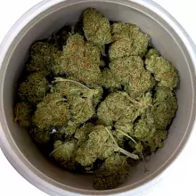 Cellen Satoline T15-18 White Widow Medical Cannabis Flower