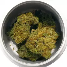 Grow Pharma T20-22 Strawberry Glue Medical Cannabis Flower