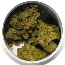 Grow Pharma T22 L.A. S.A.G.E. Medical Cannabis Flower