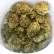 Flower Photo of Khiron Medical Cannabis OGK T22