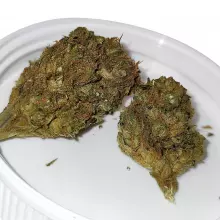 Khiron T5:C7 Caramel CBD Medical Cannabis Flower