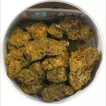 Lumir WT2 T21 Wild Thailand Medical Cannabis Flower