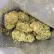 Flower Photo of Noidecs Medical Cannabis MVA T20:C4