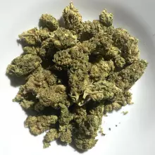 Noidecs T20:C4 Moby Dick Medical Cannabis Flower