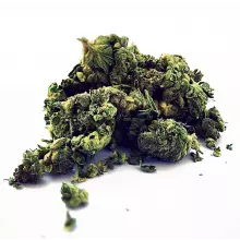 Noidecs T18 Gorilla Glue #4 Medical Cannabis Flower