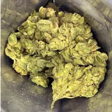 Noidecs T19 Gorilla Glue #4 Medical Cannabis Flower