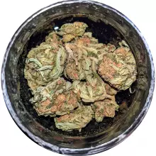 Noidecs T5:C7 Balanced Kush Medical Cannabis Flower