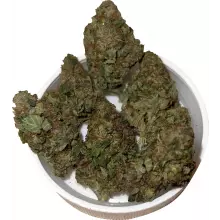 Aurora Pedanios T20:C1 L.A. Confidential Medical Cannabis Flower