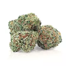 Green Organic Dutchman™ Organic T23 Maple Kush Medical Cannabis Flower