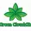 Green Cloudz Channel Logo