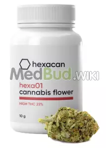 Packaging for Hexacan® HEXA01 T22 Mango Medical Cannabis Flower