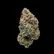 Flower Photo of Mamedica® Medical Cannabis COL T20