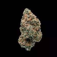 Mamedica® COL T20 Colada Medical Cannabis Flower