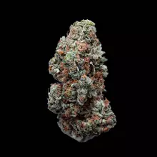 Mamedica® GG4 T25 Gorilla Glue #4 Medical Cannabis Flower